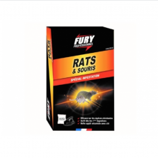 Fury rats et souris