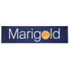 MARIGOLD