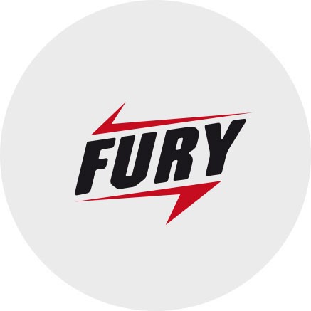 Fumigene punaise de lit acarien Fury - Voussert